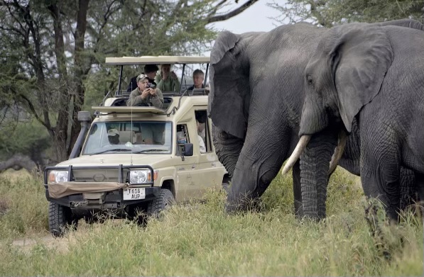Safari National park